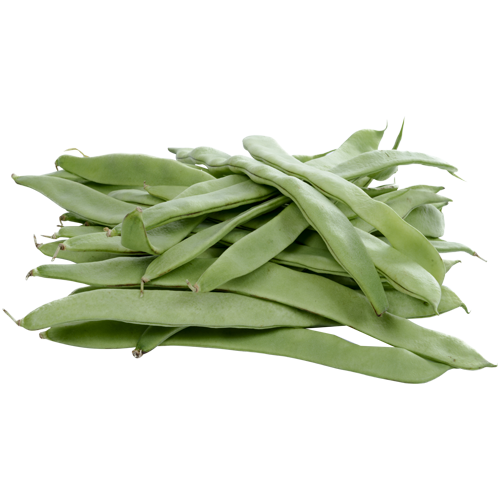 continental-flat-green-beans - Salamanca Fresh